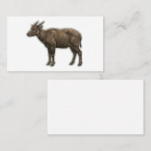 Exotische Indonesische Dwergbuffel Sticker Visitekaartje (Voorkant / Achterkant)
