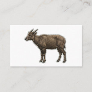 Exotische Indonesische Dwergbuffel Sticker Visitekaartje