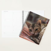Exotische kat - Daily Planner - HAMbWG (Display)
