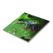 Exotische kleurrijke kikkerbladeren tegeltje (Zijkant)