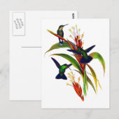 Exotische kleurrijke kolibries briefkaart (Voorkant / Achterkant)