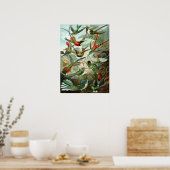 Exotische kleurrijke vogels  afdrukken poster (Keuken)