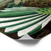 Exotische kleurrijke vogels  afdrukken poster (Hoek)