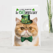 Exotische Korthaar Kat St CATrick's Day Lucky Char Feestdagen Kaart (Voorkant)