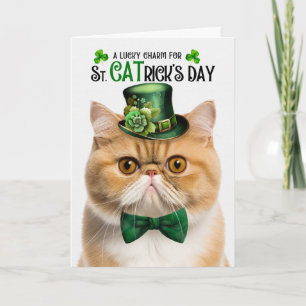 Exotische Korthaar Kat ST CATrick's Day Lucky Char Feestdagen Kaart