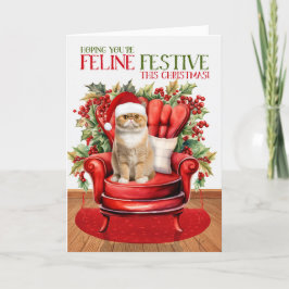 Exotische Korthaar Kerstmis Kat FELINE Feestelijke Feestdagen Kaart
