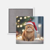 Exotische Korthaar Kerstmis Magneet (Voorkant / Achterkant)