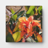 Exotische oranje bloem fotoplaat (Voorkant)