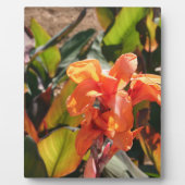 Exotische oranje bloem fotoplaat (Voorkant)