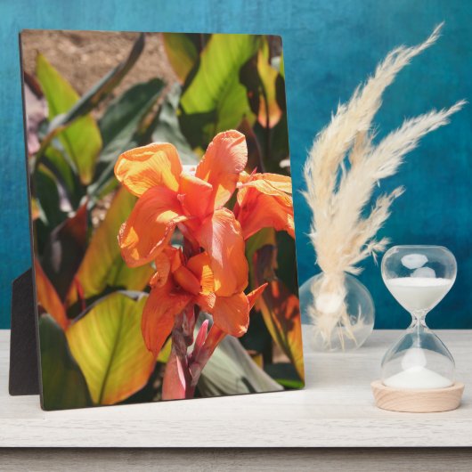 Exotische oranje bloem fotoplaat (Zijkant)