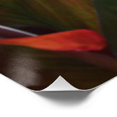 Exotische oranje bloem perfect poster (Hoek)