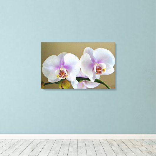 Exotische orchidee foto op Canvas Art (Insitu (Houten vloer))
