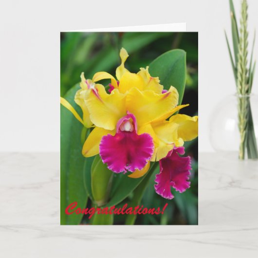 Exotische orchidee in gele en hete roze kleuren kaart (Voorkant)