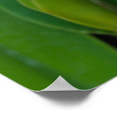 Exotische orchidee in gele en hete roze kleuren poster (Hoek)