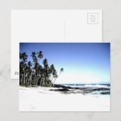 Exotische palmbomen en strand van Paradise Briefkaart (Voorkant / Achterkant)