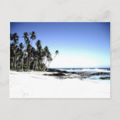 Exotische palmbomen en strand van Paradise Briefkaart (Voorkant)