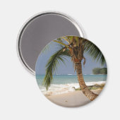 Exotische palmboom op het strand magneet (Voorkant / Achterkant)