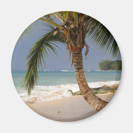 Exotische palmboom op het strand magneet (Voorkant)