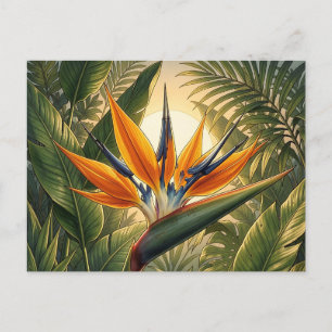 Exotische Paradijsvogel Tropische Jungle Zonsonder Briefkaart