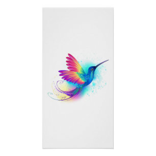Exotische Regenboog Kolibrie Perfect Poster