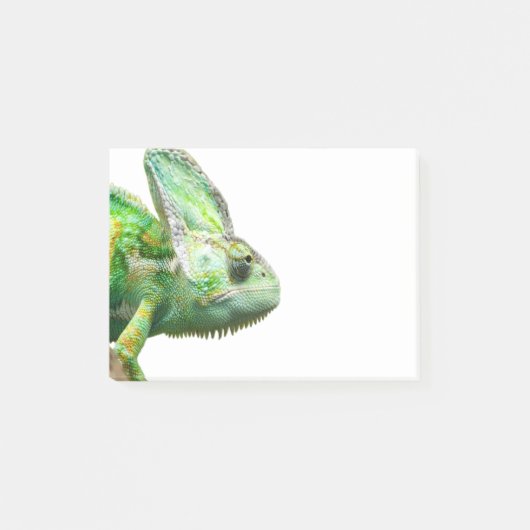 Exotische reptiel post-it® notes (Voorkant)