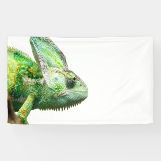 Exotische reptiel spandoek (Horizontaal)
