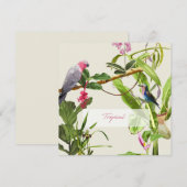 Exotische roze papegaai tropische illustratie notitiekaartje (Voorkant / Achterkant)