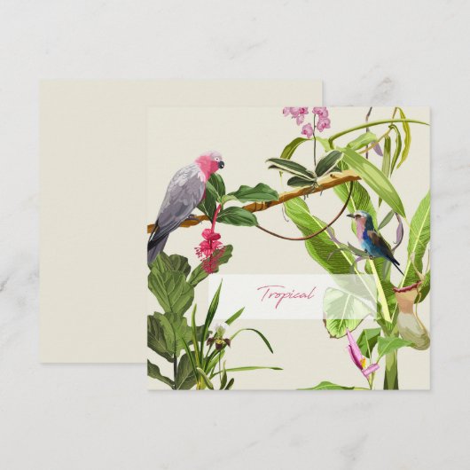 Exotische roze papegaai tropische illustratie notitiekaartje (Voorkant / Achterkant)