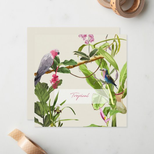 Exotische roze papegaai tropische illustratie notitiekaartje (Voorkant / Achterkant in situ)