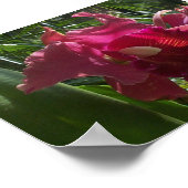 Exotische schoonheid (2) poster (Hoek)