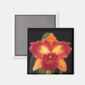 Exotische schoonheidsmagneet magneet (Voorkant / Achterkant)