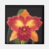 Exotische schoonheidsmagneet magneet (Voorkant)