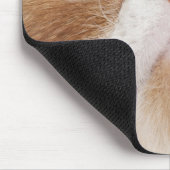 Exotische shorthair (2,5 jaar oud) muismat (Hoek)