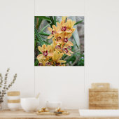 Exotische Star Orchids Poster (Keuken)