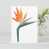 exotische strelizia - vogel van de paradijsbloem kaart (Staand voorkant)