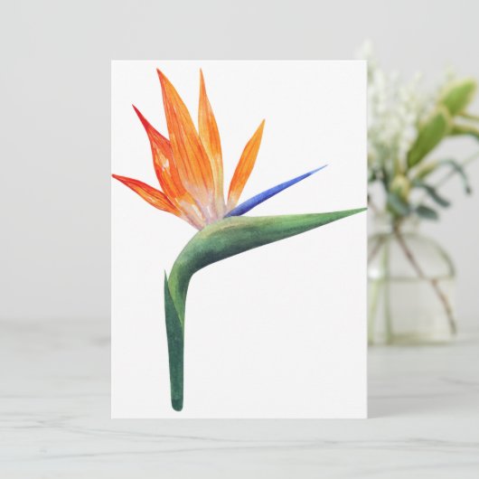 exotische strelizia - vogel van de paradijsbloem kaart (Staand voorkant)