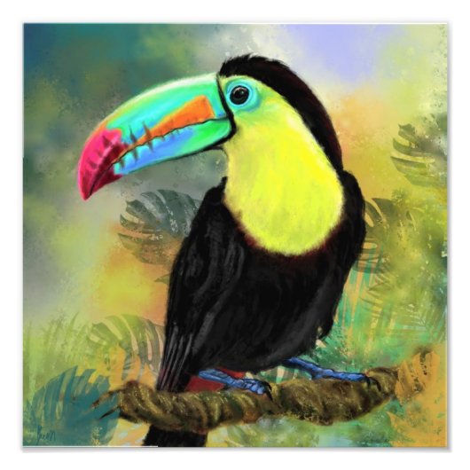 Exotische Toco Toekan Vogel Poster Print - Schilde (Voorkant)