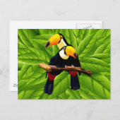 Exotische Toucannen Briefkaart (Voorkant / Achterkant)