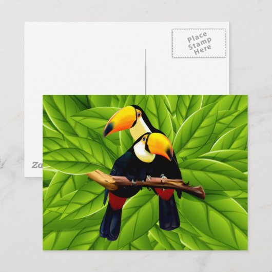 Exotische Toucannen Briefkaart (Voorkant / Achterkant)