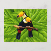 Exotische Toucannen Briefkaart (Voorkant)