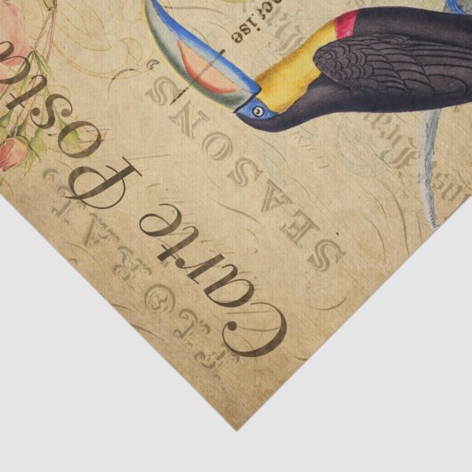  exotische tropische draak vogelgriep Frans Tissuepapier (Detail)