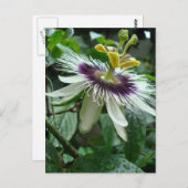 Exotische tropische fruitblauw briefkaart (Voorkant / Achterkant)