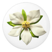 Exotische Tropische Magnolia Bloesem Trouwbloem Keramische Knop (Voorkant)