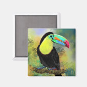 Exotische tropische Toco Toucan Bird Magnet - Schi (Voorkant / Achterkant)