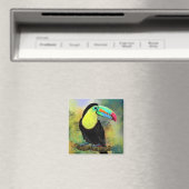 Exotische tropische Toco Toucan Bird Magnet - Schi (Insitu (Vaatwasser))