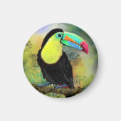 Exotische tropische Toco Toucan-vogel - Schilderen Magneet (Voorkant)