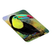 Exotische Tropische Toco Toucan Vogelmagneet Gift Magneet (Rechterzijde)