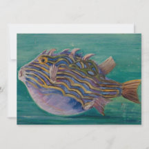 Exotische tropische vis (onderwater) (Marianne Nor