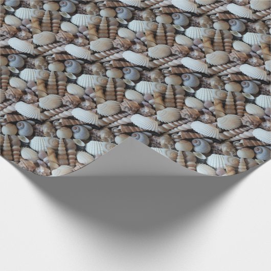 Exotische tropische zomerschalen Fotografie Cadeaupapier (Hoek)