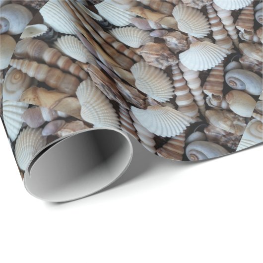 Exotische tropische zomerschalen Fotografie Cadeaupapier (Rol Hoek)